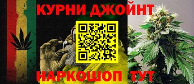 Альфа ПВП Бердск