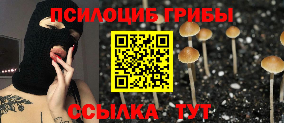 Лыткарино  Псилоцибиновые грибы мицелий  закладка  Вход с VPN 